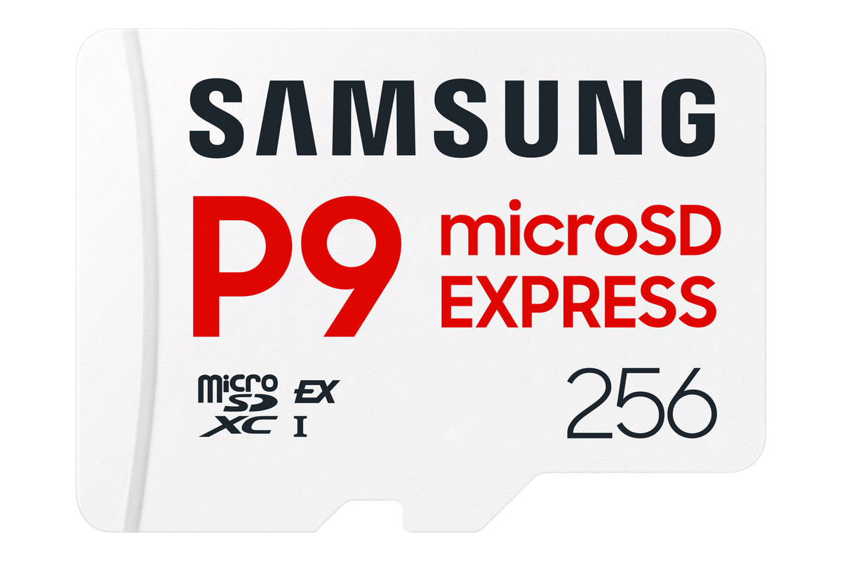 SD MicroSD Card 256GB Samsung SDXC P9 Express      (Class10) retail