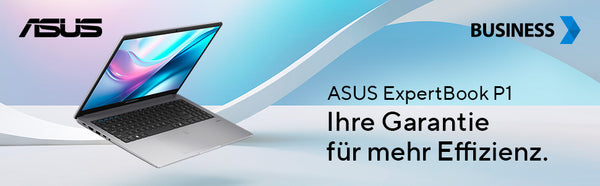 ASUS ExpertBook P1  15.6" C5-210H   16/512  P1503CVA-S72335W W11H
