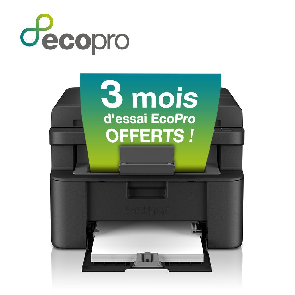 Brother DCP-L1660W    3-in-1